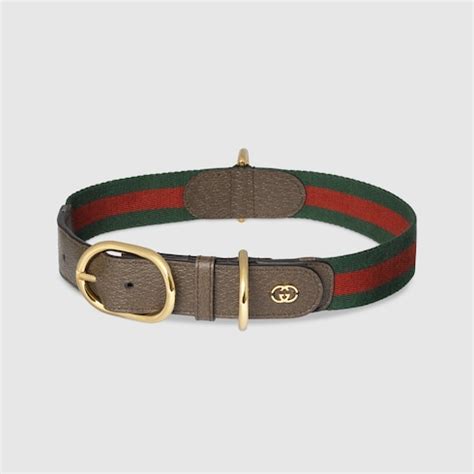 gucci cat backpack|gucci dog collars and leashes.